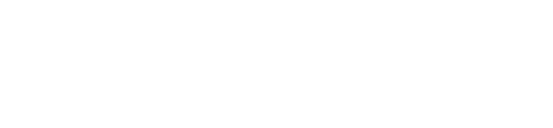 WFinance BPO Logo White